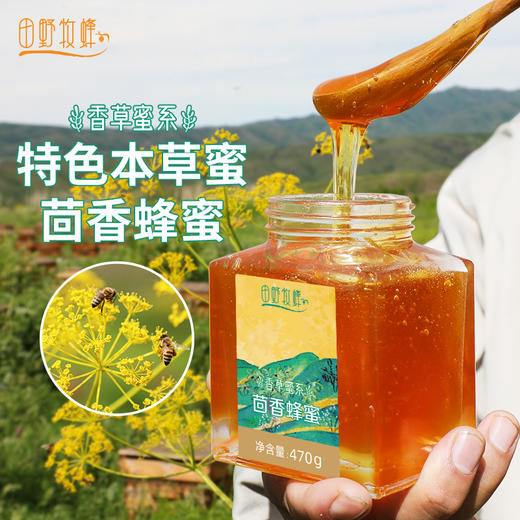 田野牧蜂茴香蜂蜜海拔3500米高原特色本草蜜珍稀好蜜 商品图0