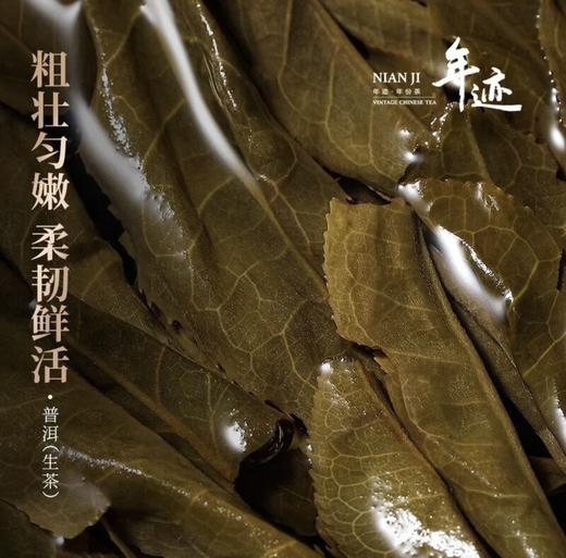 年迹 班章生态茶（生茶）-2023年 商品图5