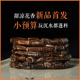 沉水满油·都蓬臻品 | 天然都蓬沉香随形 沉水级 SP11973