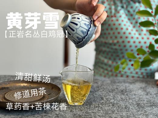 【家有好茶】武夷稀缺名丛白鸡冠《黄芽雪》，这口极难得做出来的药香鲜汤，已经等了2年！ 商品图9