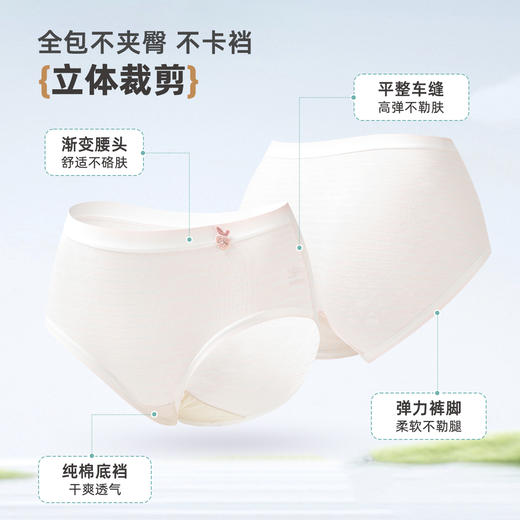 ALDOLA/雅黛俪内裤女纯棉全棉裆无痕女生三角裤中腰短裤2025新款 商品图4