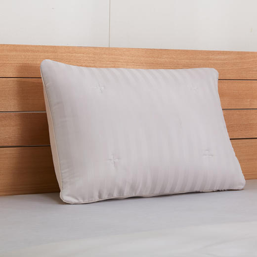  床上用品抗菌枕套酒店系列S2522枕罩 商品图1