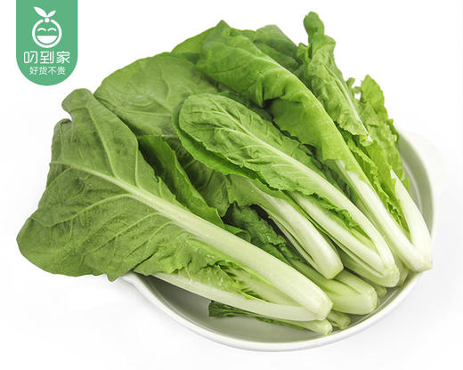 霜打菜-享通绿色毛毛菜苗*2盒（300g±15g/盒） 商品图3