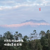 生态小黄姜（成都仓库-顺丰包邮 ）｜2斤/箱，来自四川峨眉山，生产者：张书华【合作生产，公平贸易】 商品缩略图2