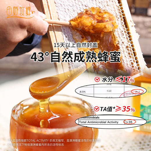 田野牧蜂茴香蜂蜜海拔3500米高原特色本草蜜珍稀好蜜 商品图1