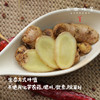 生态小黄姜（成都仓库-顺丰包邮 ）｜2斤/箱，来自四川峨眉山，生产者：张书华【合作生产，公平贸易】 商品缩略图1