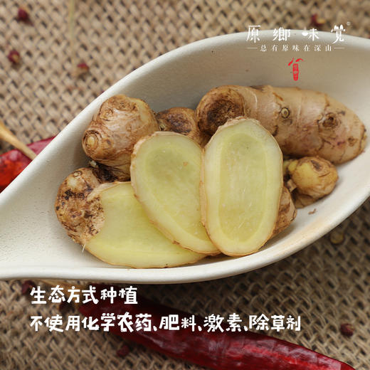 生态小黄姜（成都仓库-顺丰包邮 ）｜2斤/箱，来自四川峨眉山，生产者：张书华【合作生产，公平贸易】 商品图1