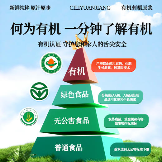 炖颜有机刺梨原浆 商品图4