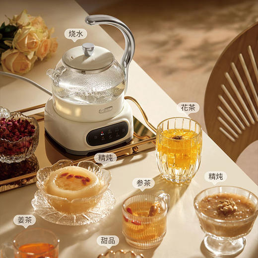 德世朗DDQ-SH229花茶壶—rxs 商品图1