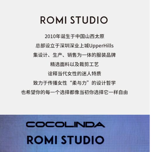 ROMI STUDIO 铜合金耳饰 复古时髦配饰垂坠长耳环RWCAP34884【礼服耳环】 商品图2