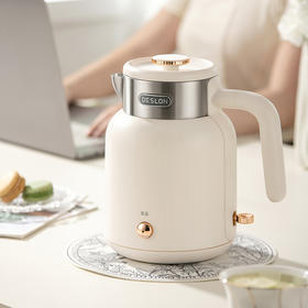 德世朗DDQ-SH203电热水壶—rxs
