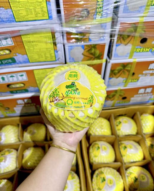 【预售！周五到店提货】泰国鳄鱼牌椰青，夏日解暑天花板! 商品图0