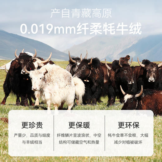 秋冬针织扁机领牦牛绒保暖毛衣-FS10 商品图7