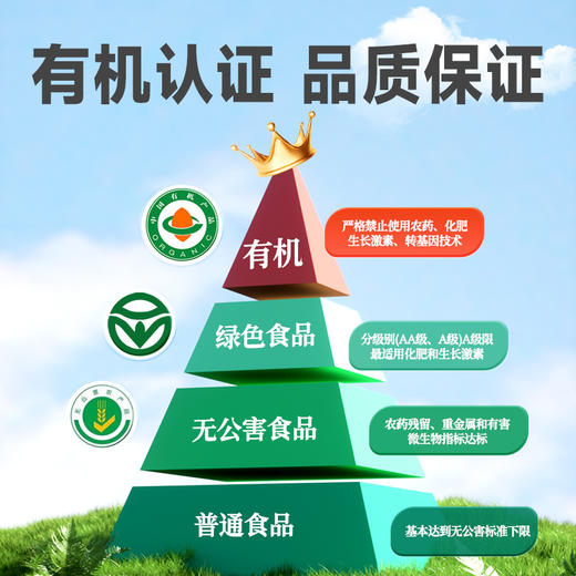 炖颜100%有机沙棘原浆 商品图4