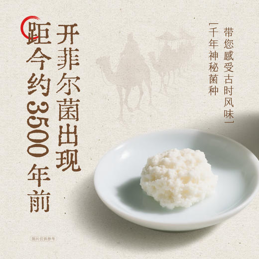 认养一头牛230PET岭南妃子笑荔枝风味发酵乳10入  230g*10瓶—rxs 商品图2