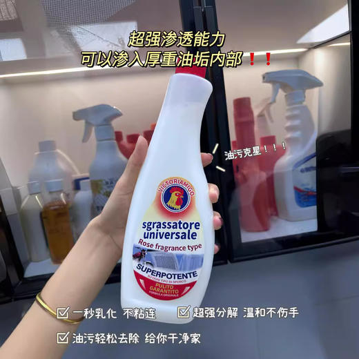 【速抢❗️9.9秒2件🔥厨房油污净】油污克星 温和配方 一喷即净 快速融渍 使用更安心！去油污清洗剂抽油烟机清洁去重泡沫除垢碱污渍去污 商品图2