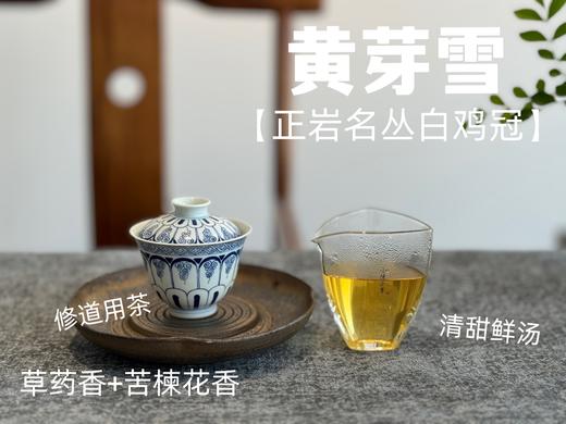 【家有好茶】武夷稀缺名丛白鸡冠《黄芽雪》，这口极难得做出来的药香鲜汤，已经等了2年！ 商品图14