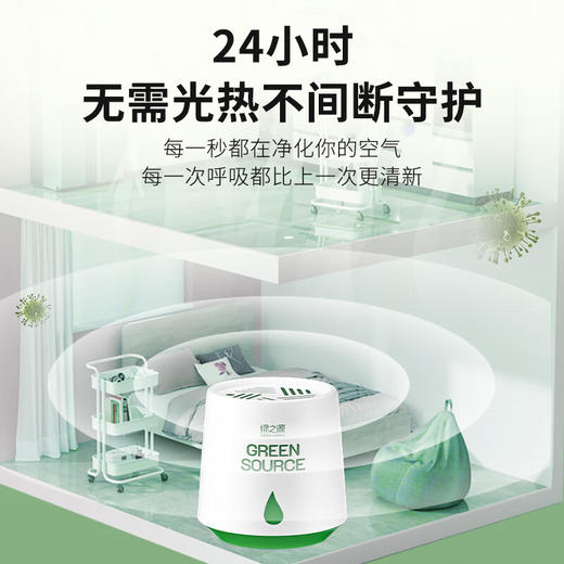 绿之源 除醛魔盒 220g/罐*4 商品图3