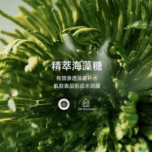 拓趣保湿润肤乳苦橙与木400ml 商品图3