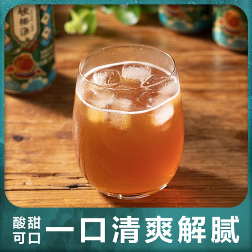 炖颜熬酸梅汤 商品图4