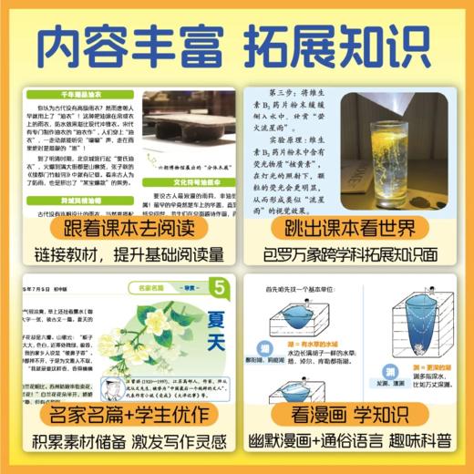 《语文导报》新课标小学、初中、高中必读全年订阅 商品图4