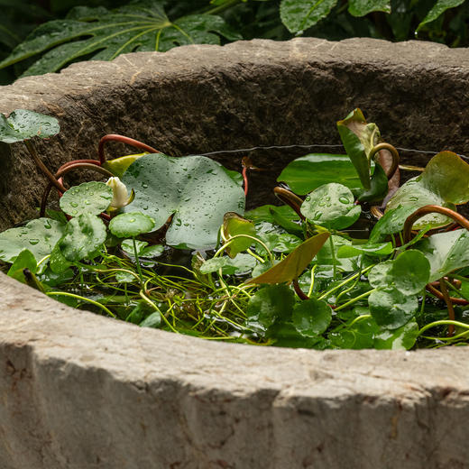 清	石雕瓜棱形赏盆 商品图3