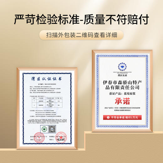 野生蓝莓原浆（儿童款） 商品图2