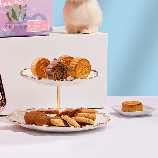 锦华玉兔皓月606g 商品图4