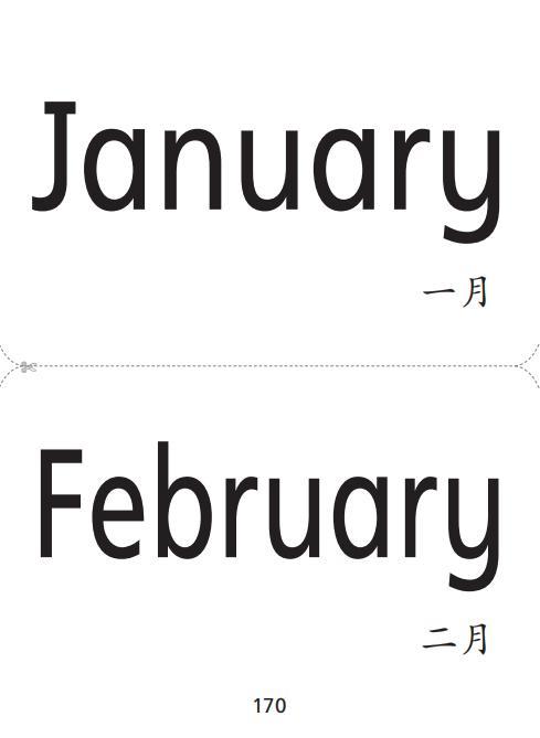 英语生词图片卡（沪教版）四年级上册（教师用）【全国新教材】 商品图3