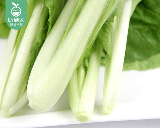 霜打菜-享通绿色毛毛菜苗*2盒（300g±15g/盒） 商品图2