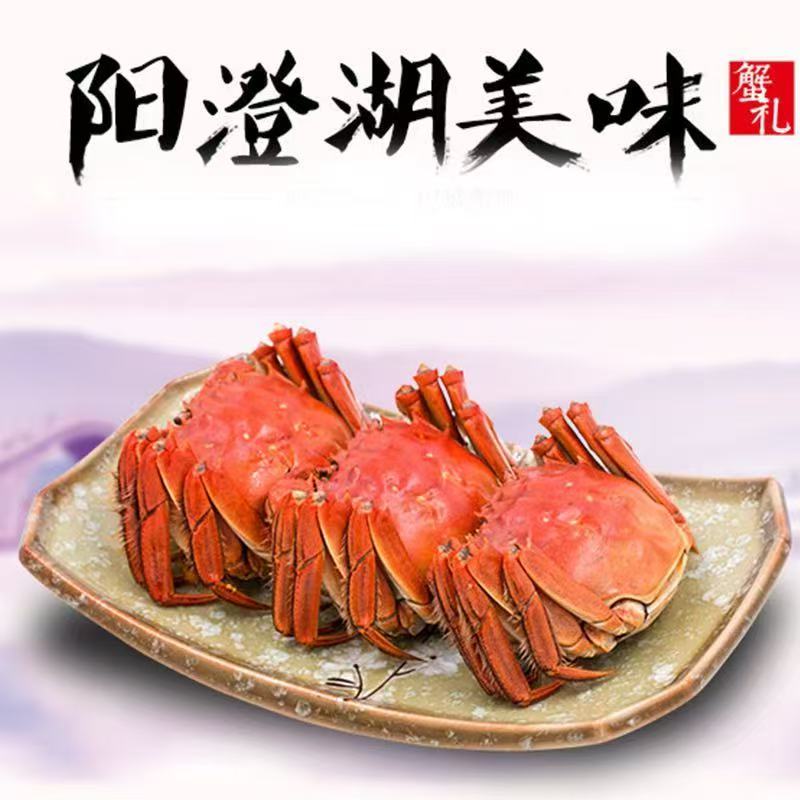 YX【名蟹坊】阳澄湖大闸蟹（只开普票）
