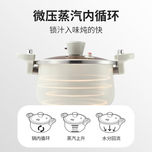 十八子作爱家微压炖锅HM－205DG—rxs 商品图1