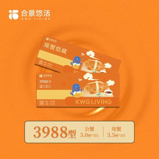 【合景悠活】苏州阳澄湖大闸蟹 产地直供 源头正品 商品图8