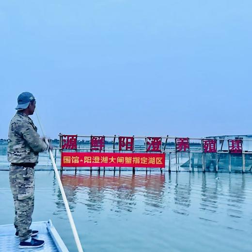 源鲜阳澄·大闸蟹溯源 | 2025年蟹卡，正宗、地道、保真【9.26开湖】 商品图2