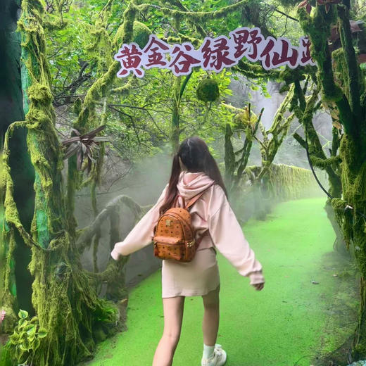 双人99抢黄金谷景区年卡！高山滑道+玻璃桥+喊泉+绿野仙踪+莫奈花园···一票全含 商品图1