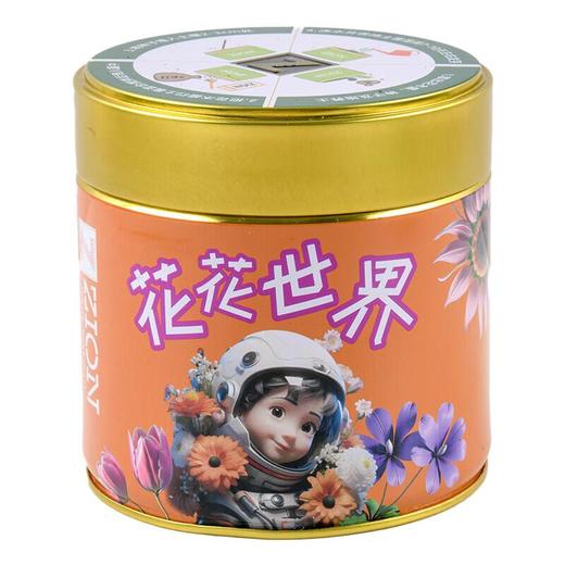 Mini种植套装(花卉型)/盒 商品图0