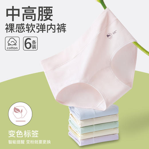 【六条装】中高腰纯棉内裤 纯棉面料贴合肌肤， 加长底裆 吸湿透气，减少摩擦，中高腰设计，微压收腹，全包臀设计 舒适不夹臀 商品图0