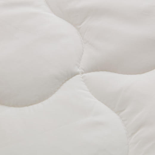  澳洲羊毛被床上用品被子被芯保暖被 商品图3