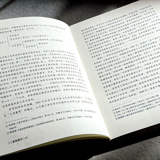 教育美学十讲 大夏书系 通识教育 中小学教师教育理论 杨斌 商品图8