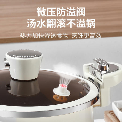 十八子作爱家微压炖锅HM－205DG—rxs 商品图3