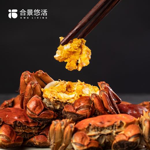 【合景悠活】苏州阳澄湖大闸蟹 产地直供 源头正品 商品图12