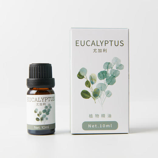  香薰精油家用室内卧室香氛器专用植物精油 商品图5
