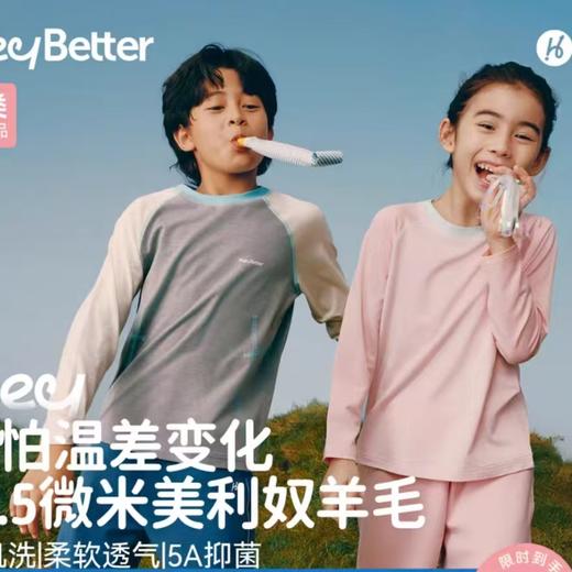 （包邮）HeyBetter儿童新美丽奴羊毛长袖T（三种颜色） 商品图0