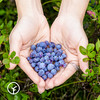 野生蓝莓原浆（儿童款） 商品缩略图1