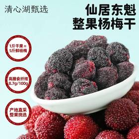 【清心湖甄选】仙居东魁杨梅干 整果制作  果肉饱满 真材实料看得见  天然果酸和果纤维 酸溜溜超过瘾 不额外添加 自然酸甜果香