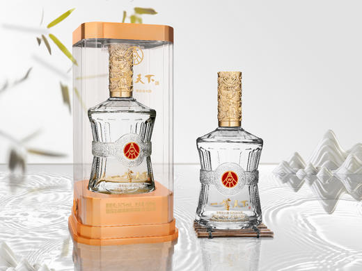 宜宾五粮液股份有限公司出品 - 【五粮液·一尊天下】 商品图4