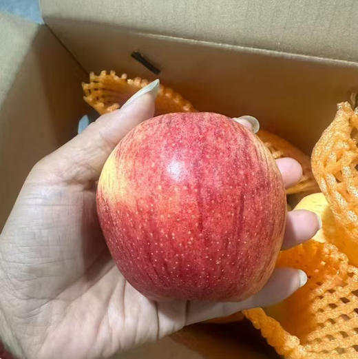 云南米奇拉苹果🍎2025新果上市啦[哇]
口感脆甜多汁，果香浓郁！每一口都是自然的馈赠～独家引进云南优质品种，果肉细腻无渣 商品图1