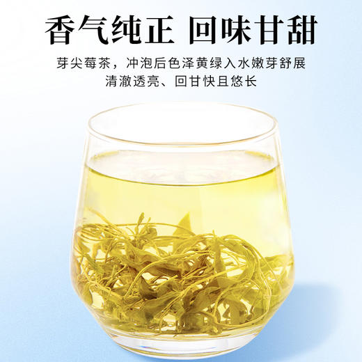 茶马世家张家界莓茶龙须芽尖非野生袋装自己喝125g 商品图6