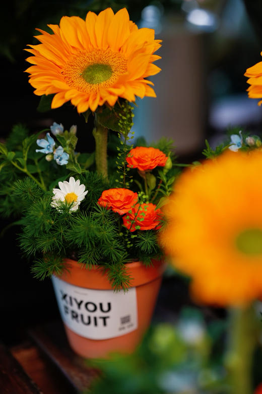 【2025. 教师节】绿心向日葵花礼39.9（现货，下单即可到店自提） 商品图1