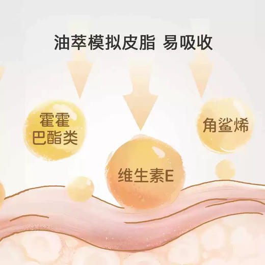 亲宝宝 0-3仿生皮脂婴幼儿爽身露 商品图2